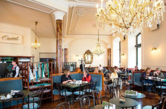 Где поесть в Инсбруке: 6 модных ресторанов