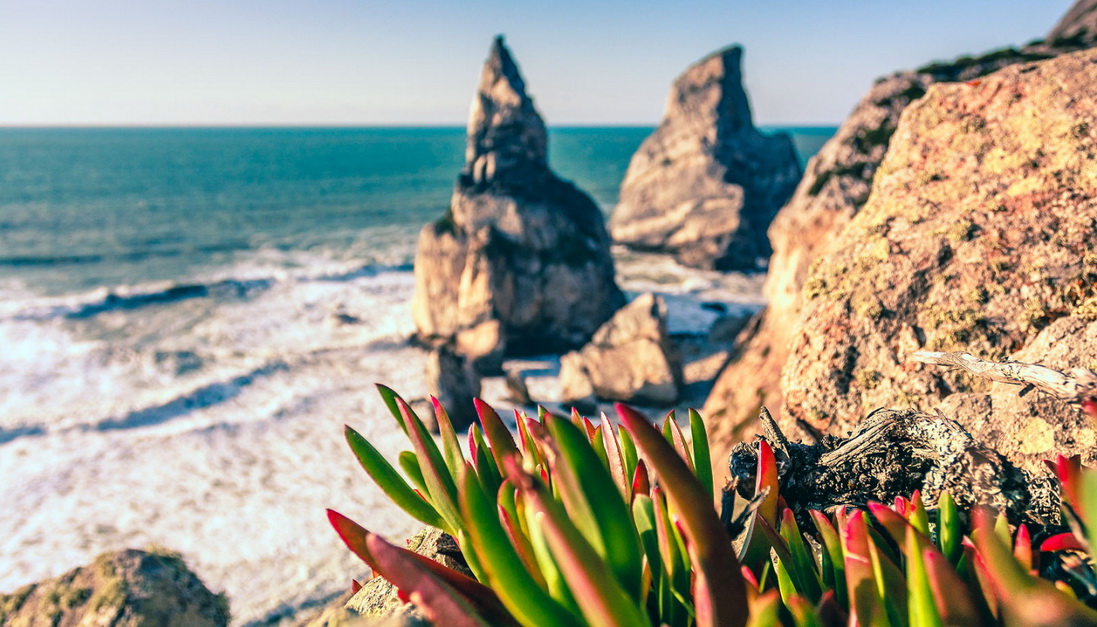 Атлантическое побережье Португалии — маршруты и пляжи