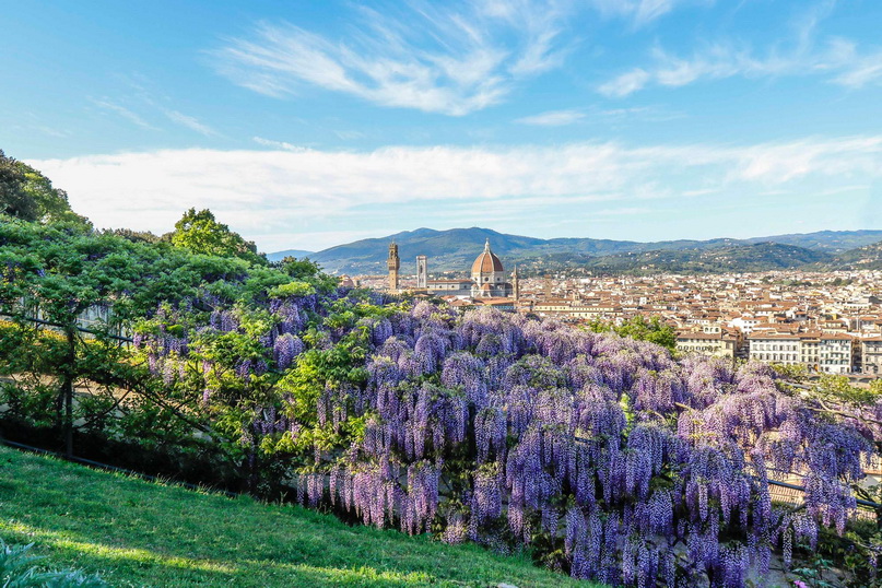 Цветущая Флоренция весной