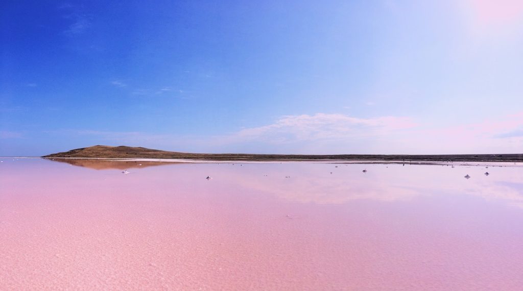Кояшское розовое озеро в Крыму (ФОТО)
