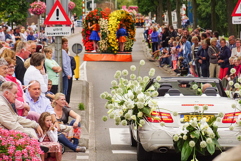 Как попасть на парад цветов в Нидерландах в апреле: маршрут, даты, цены