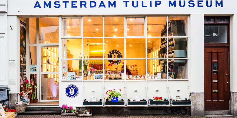 Музей Тюльпанов в Амстердаме