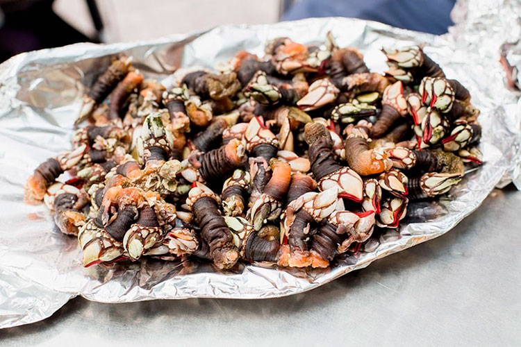 Блюда кухни Португалии: моллюски Персебеш