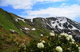 Горы Абхазии, апрель